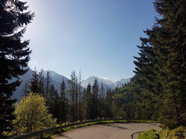 Bir dağ yolunun kıvrımları yoğun ormandan geçip ufuk çizgisinde yükselen karlı tepelere, berrak mavi gökyüzünün altında uzanır..