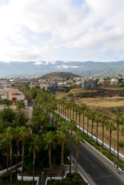 Tenerife 'de palmiye çizgili bir cadde, yol ve arkası dağlarla çevrili konut binaları bulunur. İspanya, Kanarya Adaları 'nda güneşli bir gün.