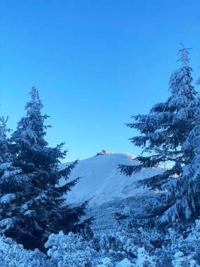 Polonya, Karpacz yakınlarındaki Sniezka dağının karlı kış manzarası. Buz kaplı ladin ormanı, berrak mavi gökyüzü ve dağ sırtında görünen zirve binaları.