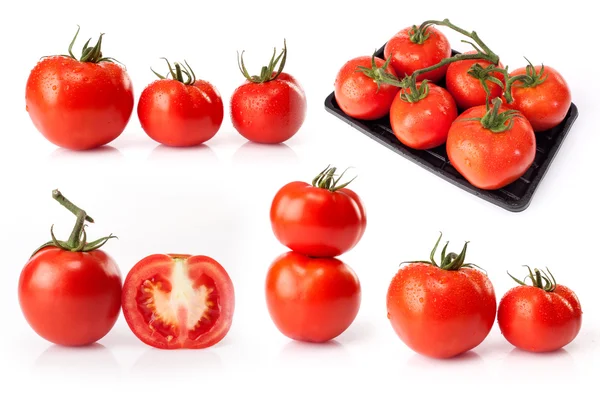 Compuesto de tomates frescos aislados sobre fondo blanco — Foto de Stock