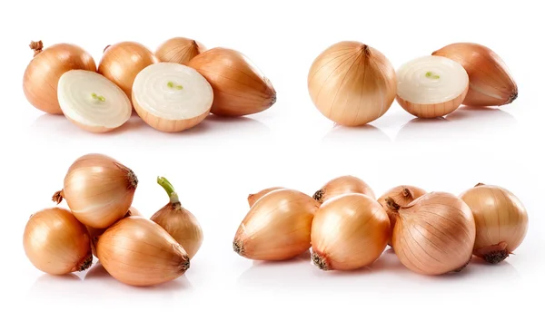 Fresh onions  isolated on white background — Stock Photo, Image