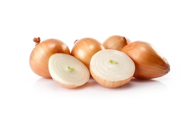 Frische Zwiebeln isoliert auf weißem Hintergrund — Stockfoto