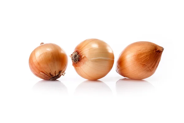 Fresh onions  isolated on white background — Stock Photo, Image