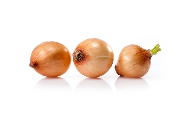 Fresh onions isolated on a white background — Stock Photo, Image