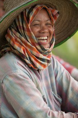 Chiang Mai eyaletinde, Kuzey Tayland. Temmuz ayında muson sırasında, bir kadın çeltik tarlalarında mola veriyor