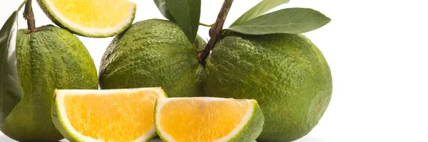 食品横幅概念 有机水果及配料 关闭白色背景下的有机绿色橙子 — 图库照片