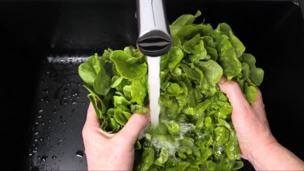 Compuesto Varias Tomas Vídeo Cámara Lenta Primer Plano Ensalada Lavado — Vídeo de stock