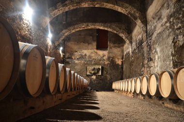 Cantina di vino bir Bordeaux Francia 
