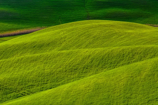 Paisagem com colinas em primeiro plano na Toscana — Fotografia de Stock