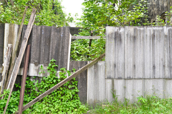 Ruin wall with many plant along the street in Takuapa, Phang nga, Thailand