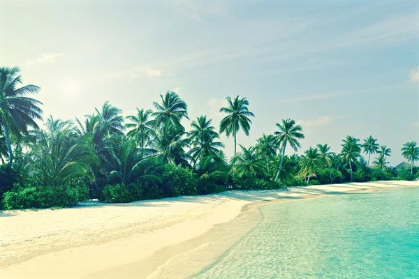 Vintage tropical island beach, Maldivas — Fotografia de Stock
