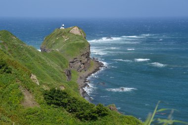Cape Kamui, Shakotan Yarımadası Hokkaido, Japonya