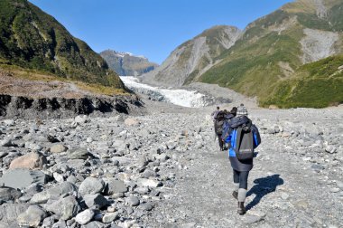Fox Glacier, Yeni Zelanda, trekking.