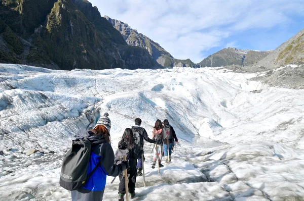 Fox Glacier, Yeni Zelanda, trekking.
