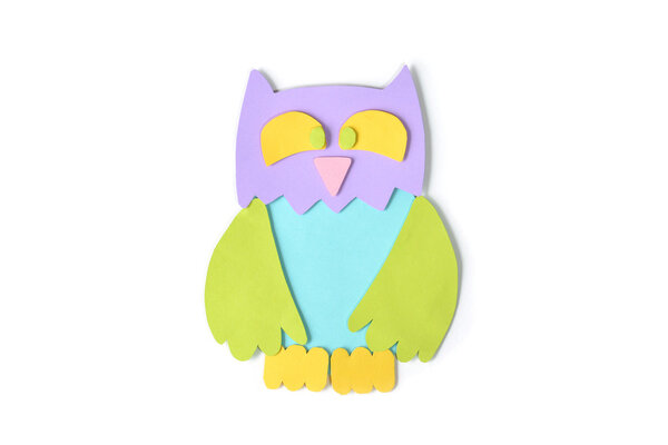 Funny owl on white background - isolated