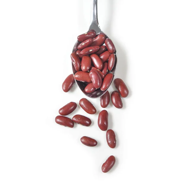 Red kidney beans on white background - isolated — Stock Photo, Image
