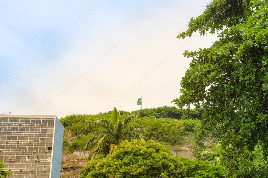 Flag in Rio de Janeiro streets with Mountain in the background.