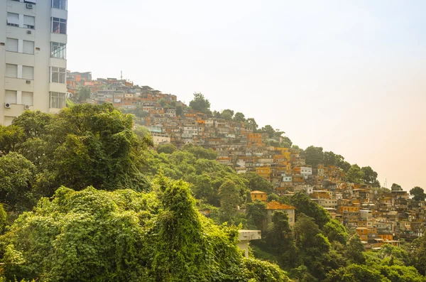 Edificios Favela Santa Marta Montaña Detrás Río Janeiro Brasil — Foto de Stock