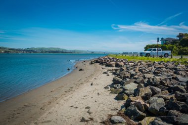 Bodega Bay, CA, EUA - MARCH 23 2016:  Highway 1 California 1 Bodega Bay Beach