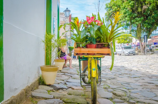 Bicycle Basket Full Flowers Standing Field — Foto de Stock