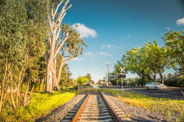 A view of american's railroad