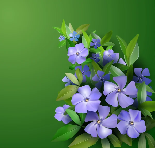 Lente bloemen achtergrond — Stockvector