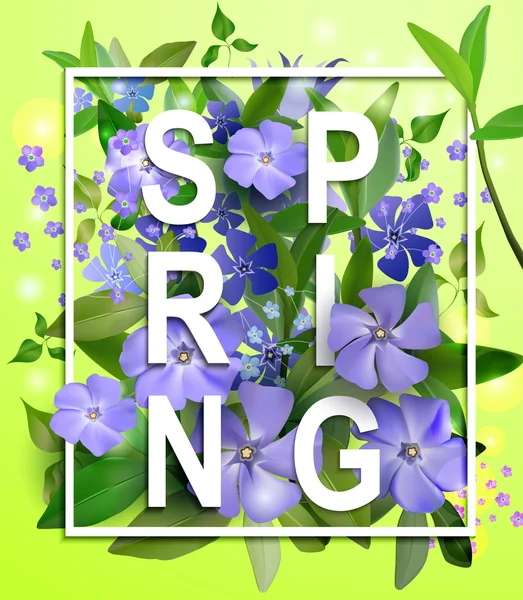 Tavaszi virágok háttér — Stock Vector