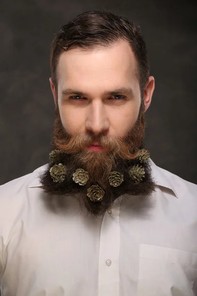 Retrato de hombre de año nuevo, barba larga con conos de Navidad — Foto de Stock