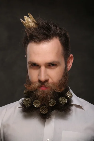 Retrato de hombre de año nuevo, barba larga con conos de Navidad — Foto de Stock
