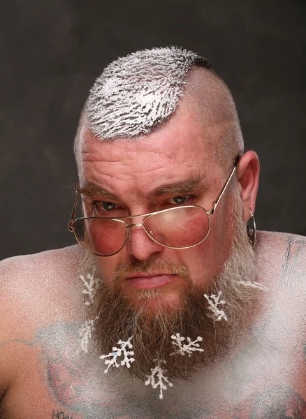 Portrait of man spectacled a long beard with snowflakes — Stock Photo, Image