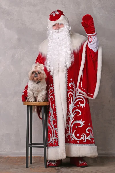 Father Frost com cachorrinho . — Fotografia de Stock