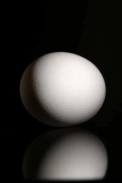 White egg on black background with reflection at studio — Stockfoto