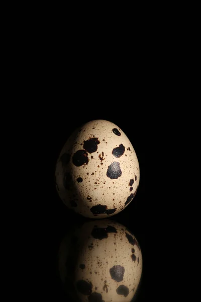 Raw quail egg close-up isolated on black background with reflection — Stockfoto