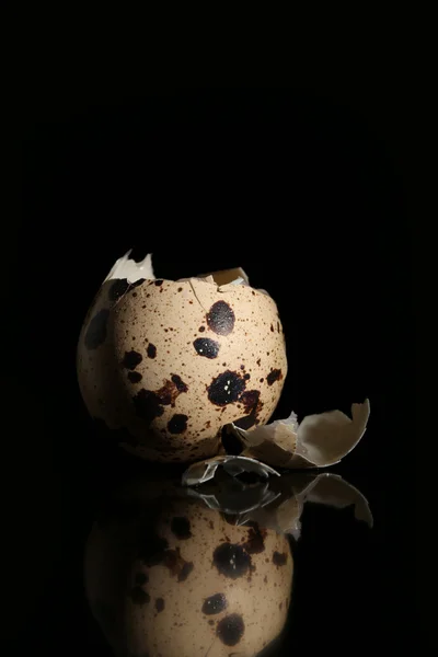 Huevo crudo de codorniz roto aislado sobre fondo negro con reflejo — Foto de Stock