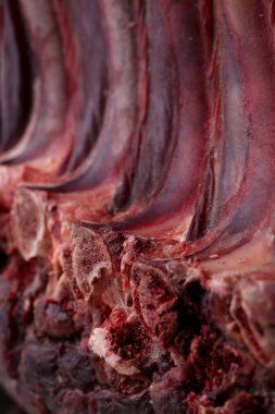 Arka plan bir ham taze kuzu eti