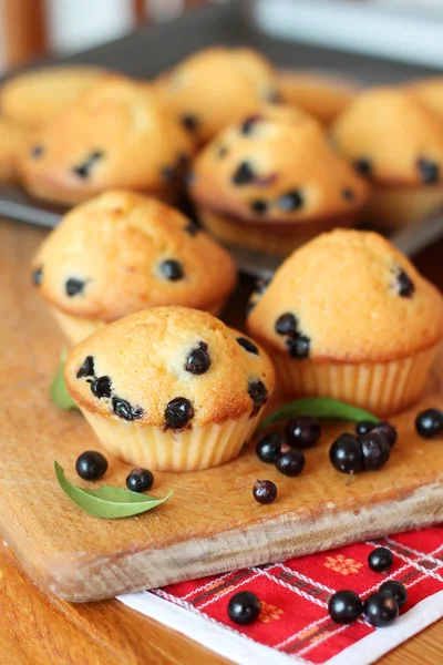 Små muffins med bär — Stockfoto