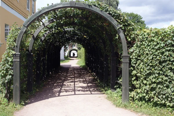 Grön Tonel av blommor — Stockfoto