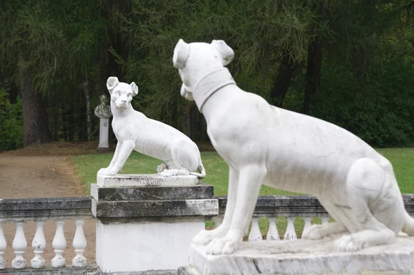 Sculptuur van twee honden Stockfoto