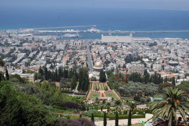 Haifa sayısı