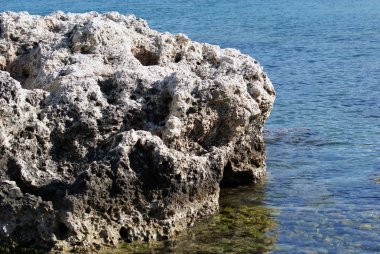 Bir deniz lagünü . 