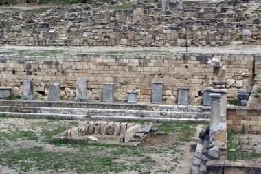 Camrose arkeolojik kazılar