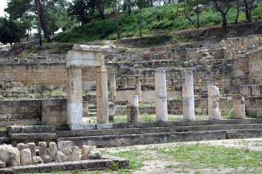 Camrose arkeolojik kazılar