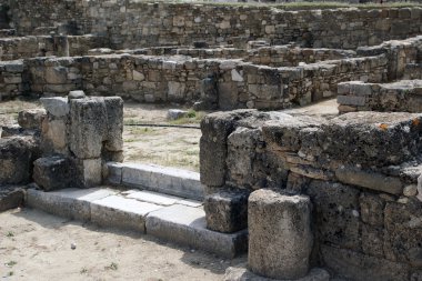 Camrose arkeolojik kazılar