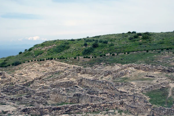 Camrose arkeolojik kazılar