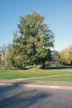 Royal apartments Kolomna