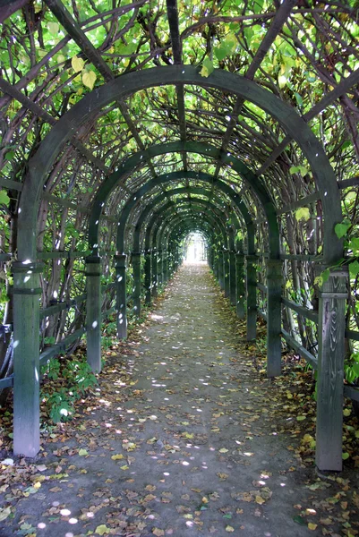 Green tunnel-a passage — Stock Photo, Image