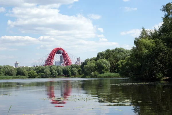 Живописный мост в серебряном лесу Стоковое Изображение