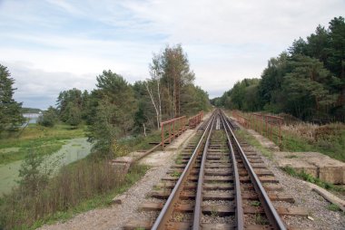 Ormandaki demiryolu.