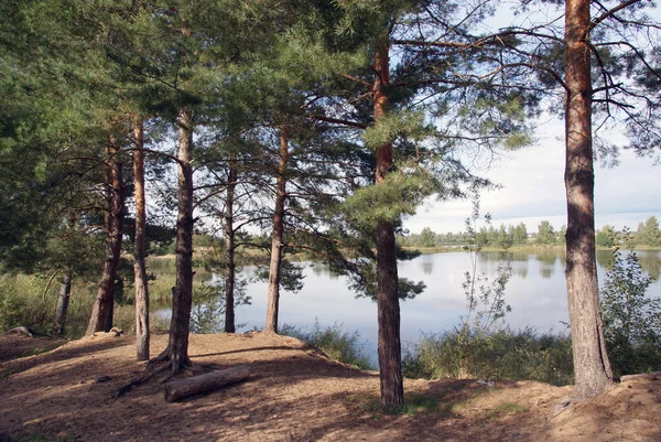 Fjärden av floden Volga. — Stockfoto