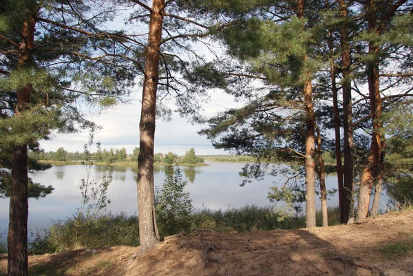 Fjärden av floden Volga. — Stockfoto